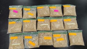 Valorarroz: Transformando la cascarilla de arroz en biomateriales sostenibles