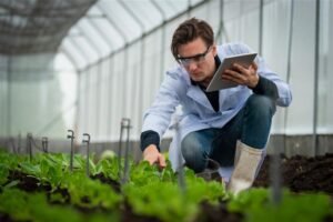 Procomer y Fundación CRUSA premiarán proyectos innovadores del sector agro con hasta US$17 mil