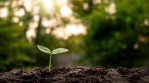 Agromira 2025 reunirá a líderes globales de los agronegocios en Costa Rica