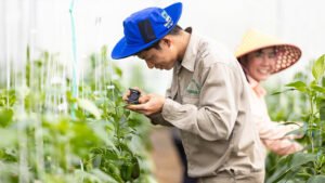 El sueño tecnológico de un joven agricultor da sus frutos… y hortalizas