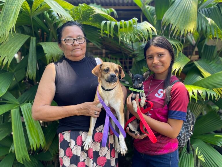 98 mascotas recibieron atención veterinaria gratuita en Tortuguero
