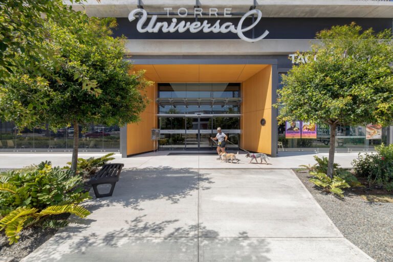 Día del Perro: campaña solidaria busca transformar la vida de perros rescatados