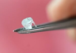 Bioimpresión, la técnica 3D que está cambiando la medicina en Alemania