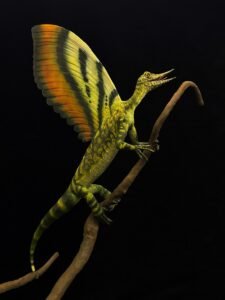 Descubren insólita cresta en reptil prehistórico expuesto en museo alemán