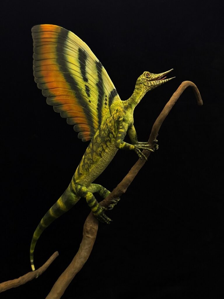 Descubren insólita cresta en reptil prehistórico expuesto en museo alemán