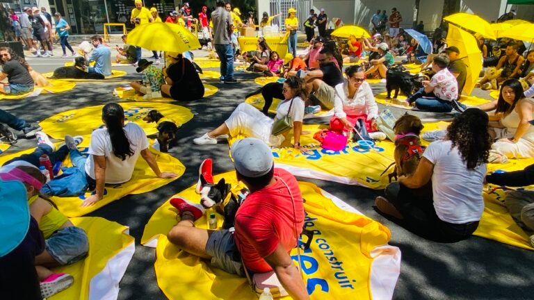 Concierto para mascotas llega por primera vez a Cartago