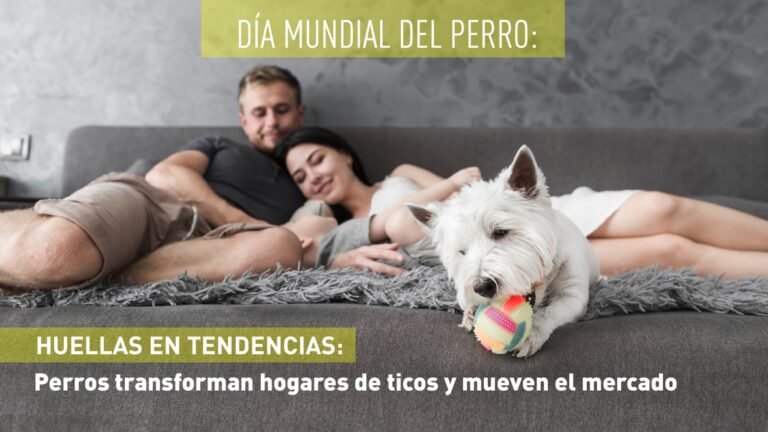 Huellas en tendencia:  Perros transforman hogares de ticos y mueven el mercado