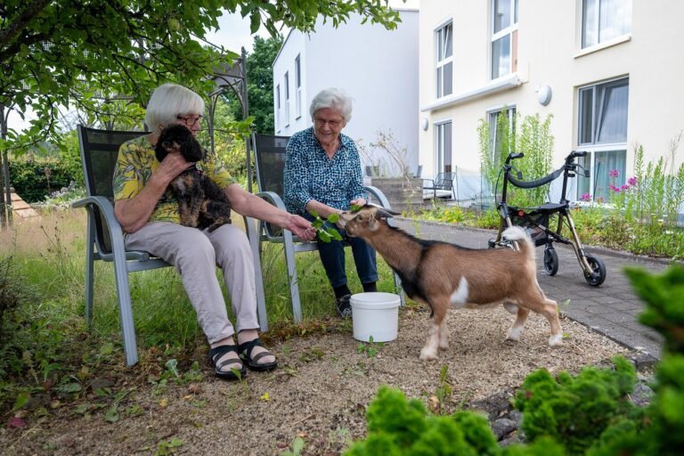 Los animales generan felicidad en hogares de ancianos en Alemania