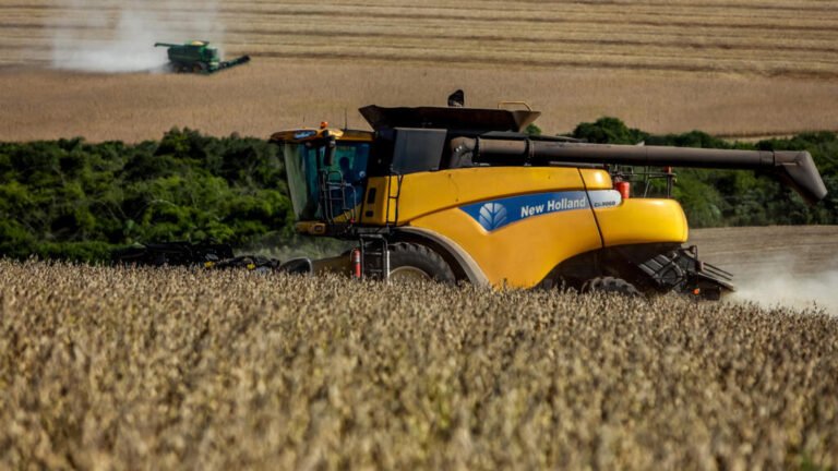 Brasil suspende el pacto que impedía la exportación de soja procedente de la deforestación