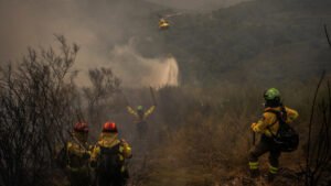Incendios forestales en España: aumenta a cuatro la cifra de muertos, mientras las llamas se extienden