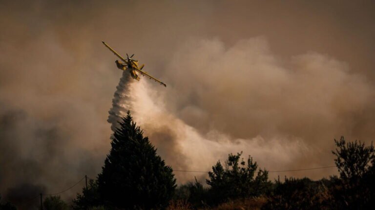Europa en llamas: miles de bomberos trabajan para combatir los trágicos incendios forestales