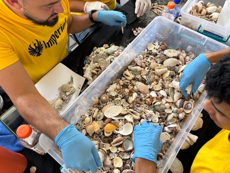 Guanacaste Aeropuerto devuelve 1100 kilos de conchas al mar en alianza con FIFCO