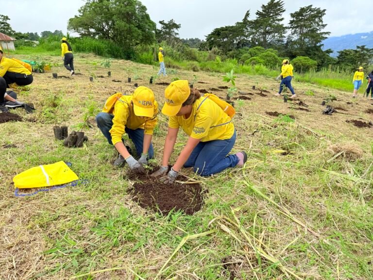 Miles de árboles sembrados en el GAM gracias al apoyo ciudadano