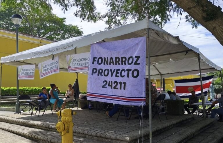 Productores arroceros acampan frente a la Asamblea Legislativa exigiendo la aprobación de FONARROZ