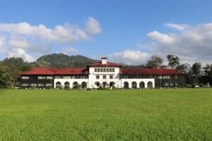 Costa Rica será sede del Congreso Internacional de Cacao 2025, el encuentro más dulce y sostenible de América Latina