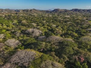 Refugio Nacional de Vida Silvestre Mixto Conchal celebra 16 años como ejemplo de conservación