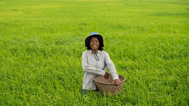 Sembrar semillas, cosechar resiliencia
