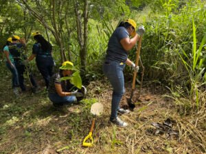 Voluntarios siembran 300 árboles autóctonos en Playa El Jobo