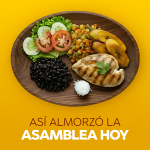 Productores de arroz llevan la crisis del sector a la mesa de la Asamblea Legislativa