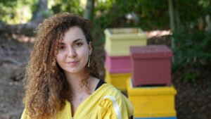 Un enjambre de oportunidades