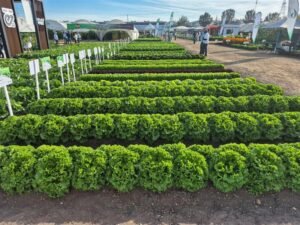 Costa Rica presenta su propuesta país para la inversión en agroindustria y sectores estratégicos en México