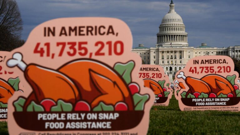 El fin del subsidio alimentario SNAP en EE.UU. penalizará a millones de niños