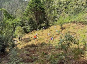 Voluntariado de Liberty colabora con el desarrollo de la niñez y la sostenibilidad ambiental en Costa Rica