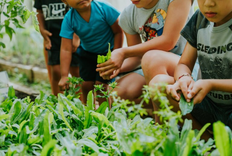 Huerta impulsada por voluntarios mejora la alimentación en CEN-CINAI de Guanacaste