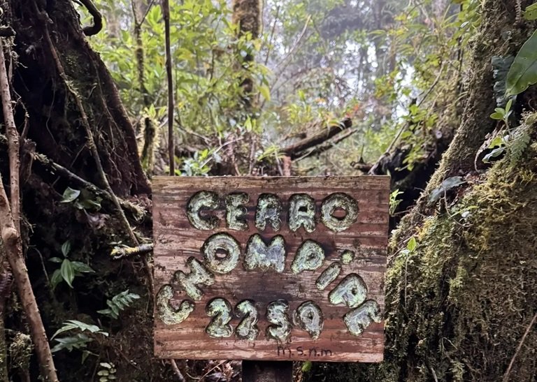 Concejo Municipal de San Rafael aprueba traspaso de finca en Cerro Chompipe al MINAE, pese a la oposición del alcalde