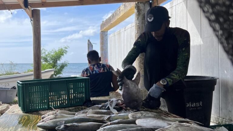 Pescadores colombianos temen por su vida ante los bombardeos estadounidenses