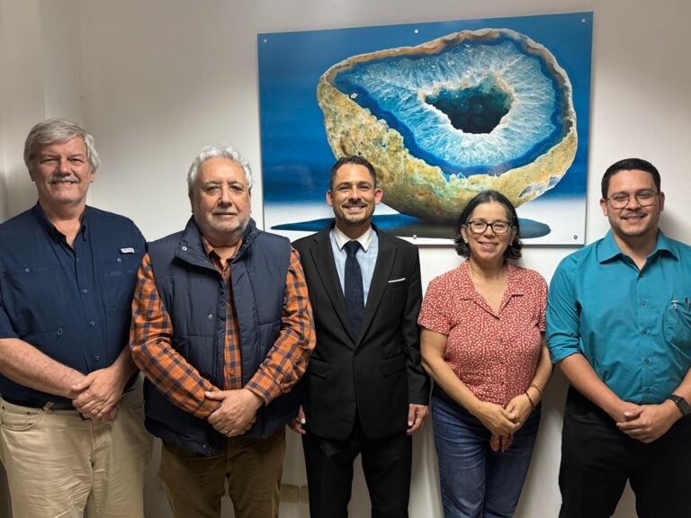 Castillo destaca al Colegio de Geólogos como clave en la gestión de recursos mineros