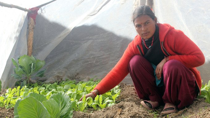 Nuevas posibilidades para las familias que se enfrentan a la migración