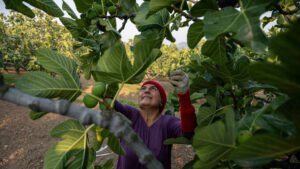 Un lucrativo acto de amor