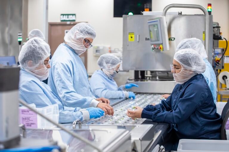 PROCOMER impulsa el empleo: Más de 11.500 personas colocadas en el mercado laboral en 2025