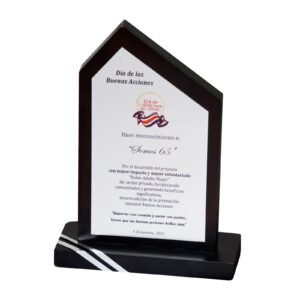 SOMOS 65 es reconocido como el proyecto de mayor impacto y voluntariado 2025