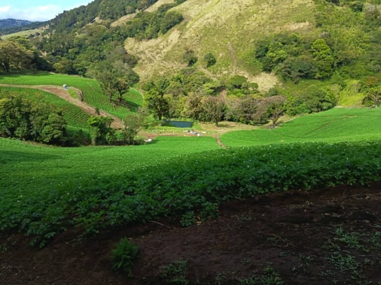 Llano Bonito de Naranjo celebrará el Día Internacional de la Mujer con caminata por la Reserva El Chayote