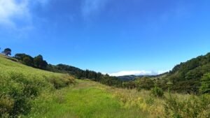 La Caminata El Chayote abre inscripciones mediante Google Forms para este 8 de marzo