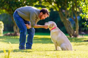 Cuidar la salud de tu mascota a través de la desparasitación, y visitas al veterinario, es la mayor prueba de cariño
