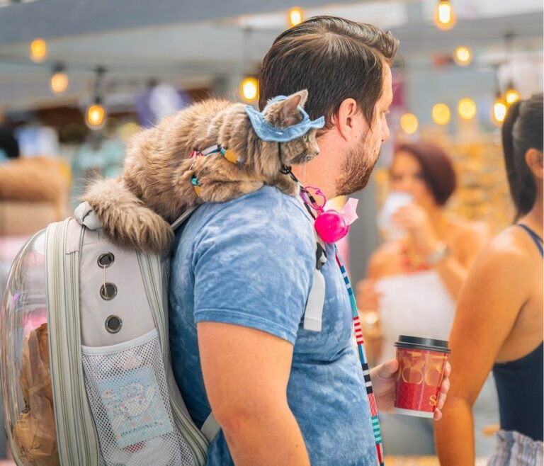 Expo Mascotería reafirma este fin de semana su compromiso con la adopción responsable en el mes del amor y la amistad