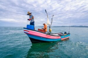 FAO, MAG y el Incopesca fortalecen la pesca artesanal en Costa Rica