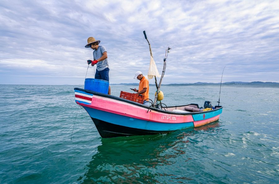 FAO, MAG y el Incopesca fortalecen la pesca artesanal en Costa Rica