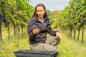 La ciencia de la uva