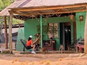 OPol Consultores fue la encuestadora con mayor presencia de marca en Elecciones 2026