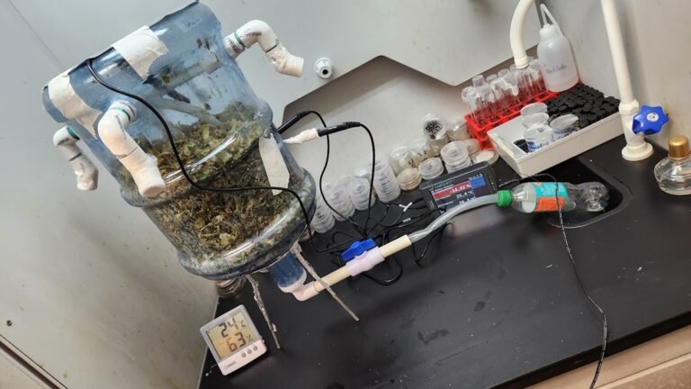 UNED desarrolla biorreactor que transforma residuos de piña en biofertilizantes