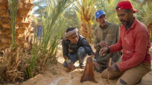 Las lecciones silenciosas son las que más resuenan