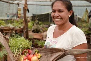 Año Internacional de la Agricultora 2026: una agenda de financiamiento e innovación para América Latina y el Caribe