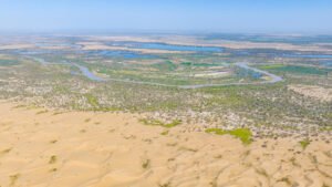 En China, logran reverdecer el desierto de Taklamakán y capturar carbono, pero ¿es una buena noticia?