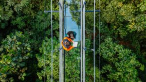 Treetopia Park en Monteverde presenta “The Glass Bridge”, el primer puente colgante de vidrio de Costa Rica
