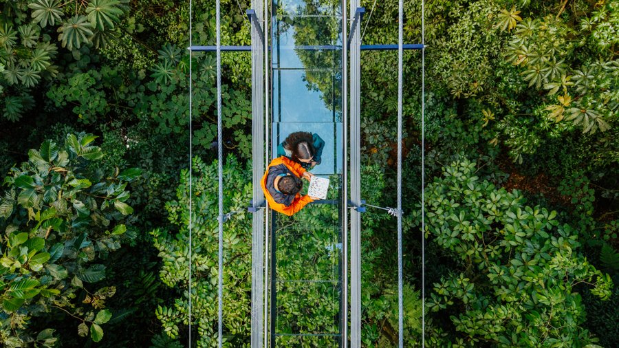 Treetopia Park en Monteverde presenta “The Glass Bridge”, el primer puente colgante de vidrio de Costa Rica