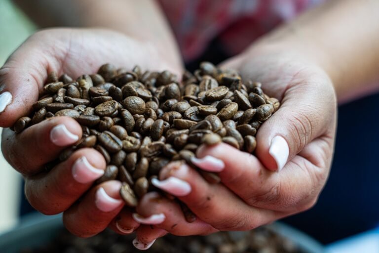 Capacitación gratuita abre oportunidades a jóvenes en la caficultura de Costa Rica